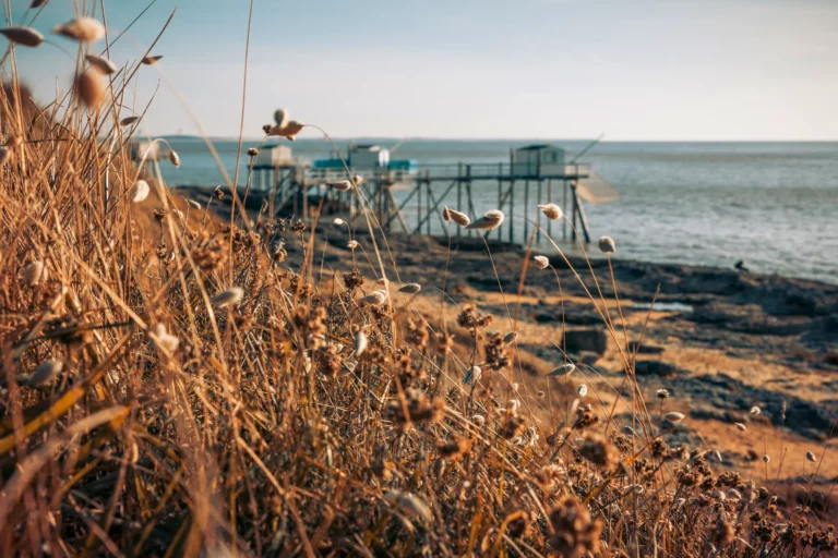 camping la rochelle